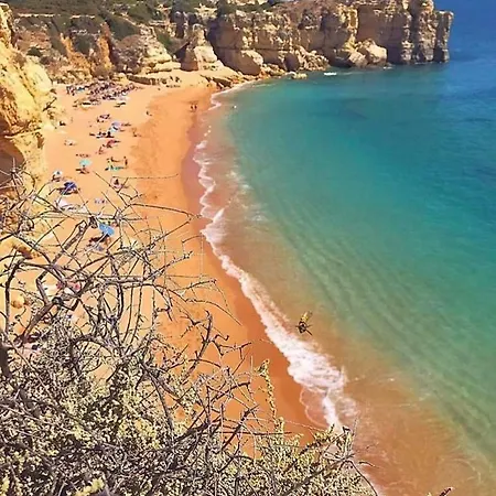 Bonita البوفيرا